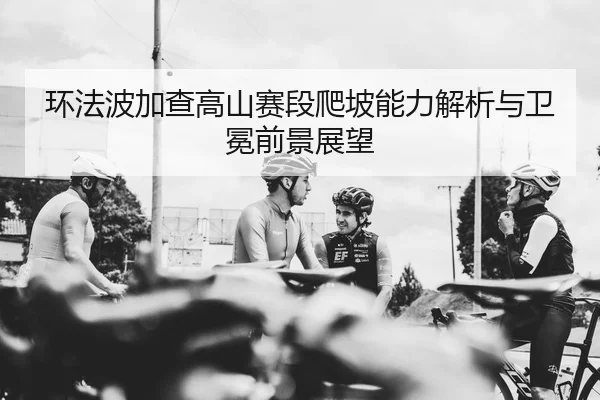 环法波加查高山赛段爬坡能力解析与卫冕前景展望