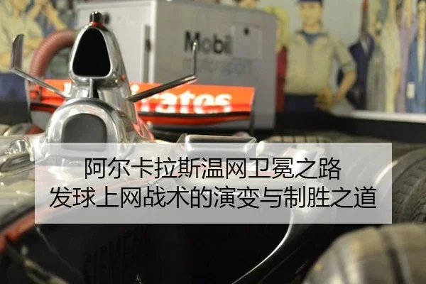 a-er-ka-la-si-wen-wang-wei-mian-zhi-lu-fa-qiu-shang-wang-zhan-shu-de-yan-bian-yu-zhi-sheng-zhi-dao-3-179.jpg